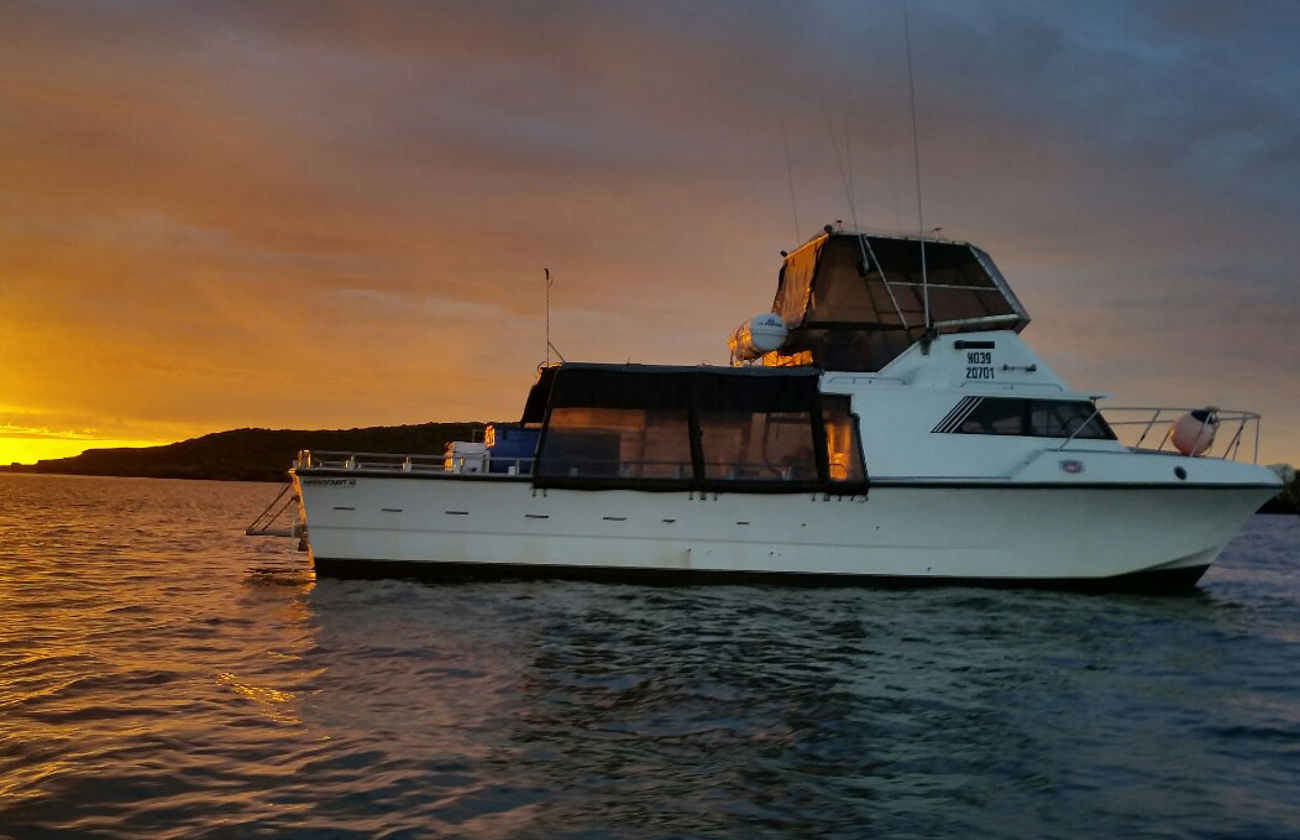 Reef Encounters Fishing Charters