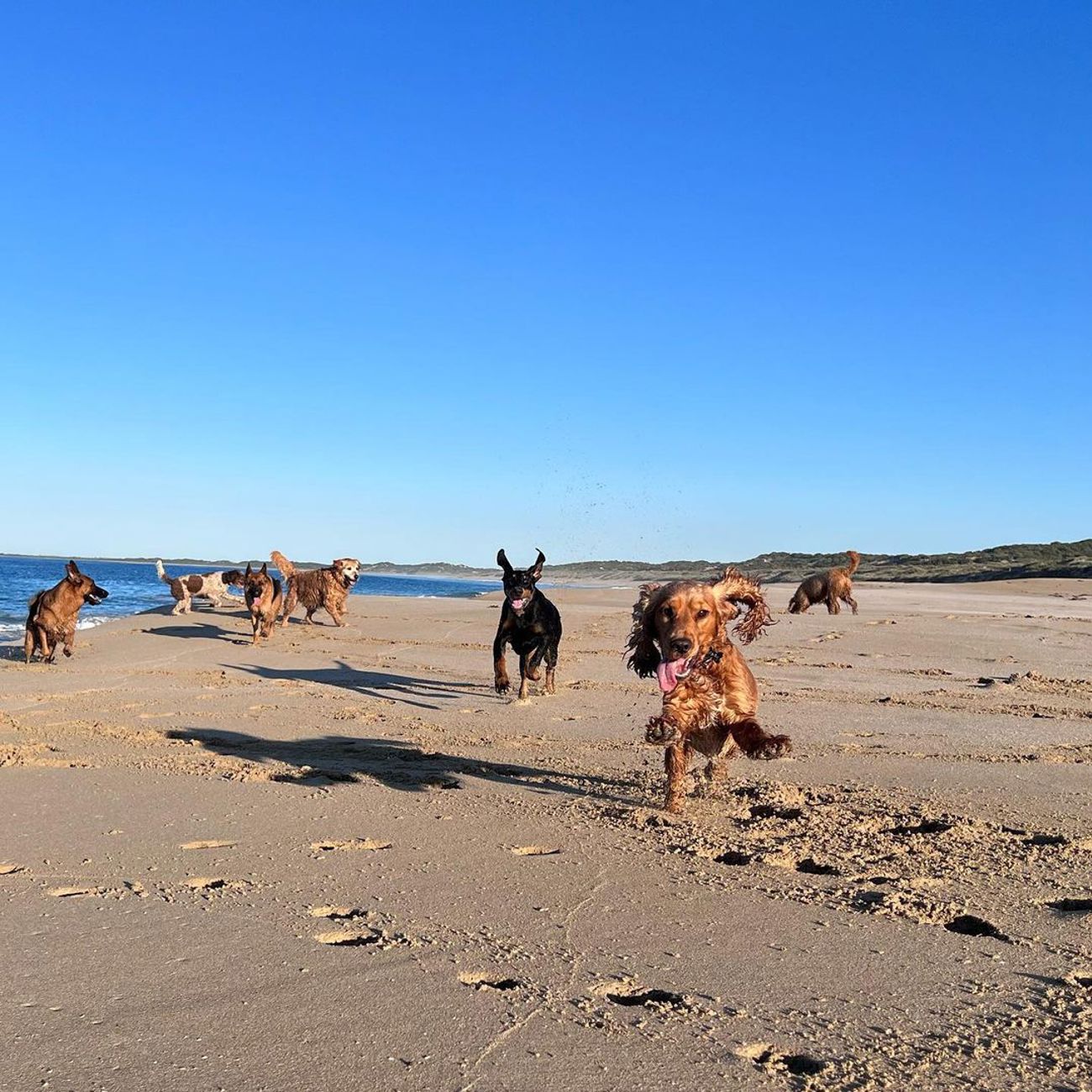 Marion Bay. Credit: Big Nose Australia