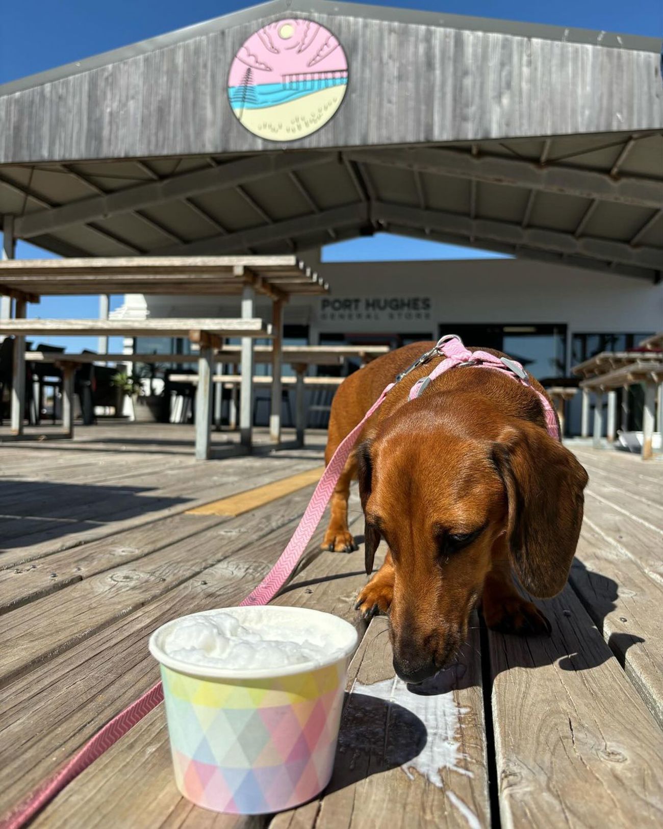 Marli at the Port Hughes General Store. Credit: @great.miniature.adventures