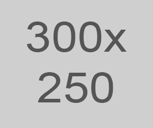 300X250