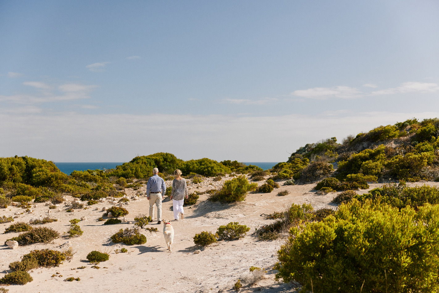 The Pet-friendly Peninsula