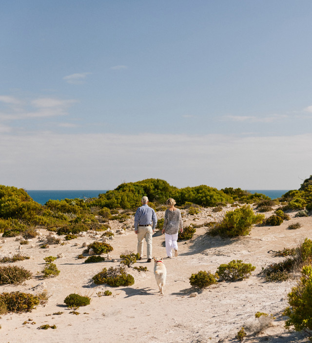 The Pet-friendly Peninsula