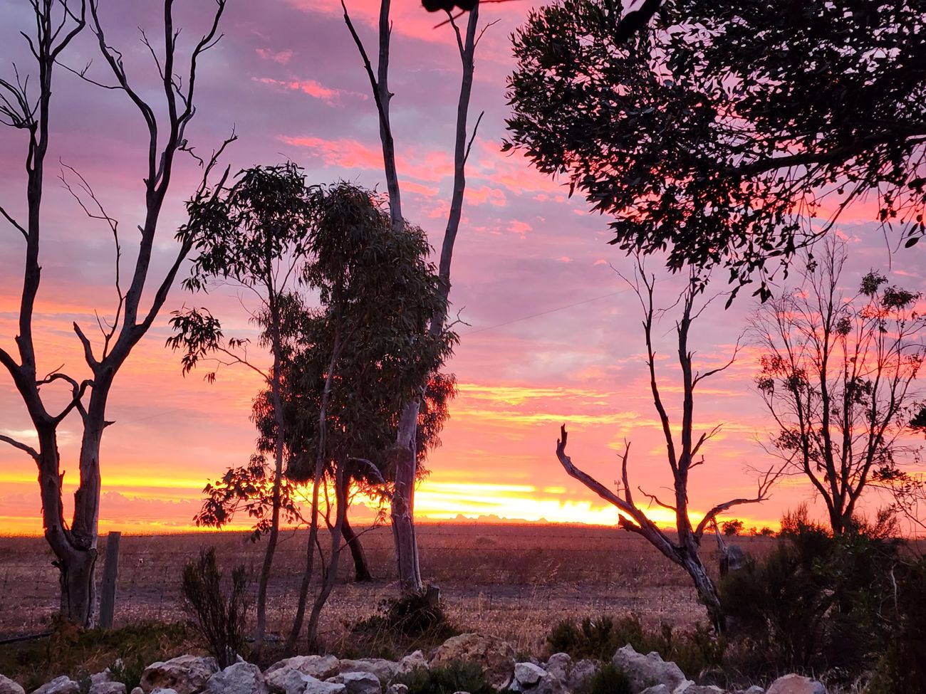 Sunset at the new site