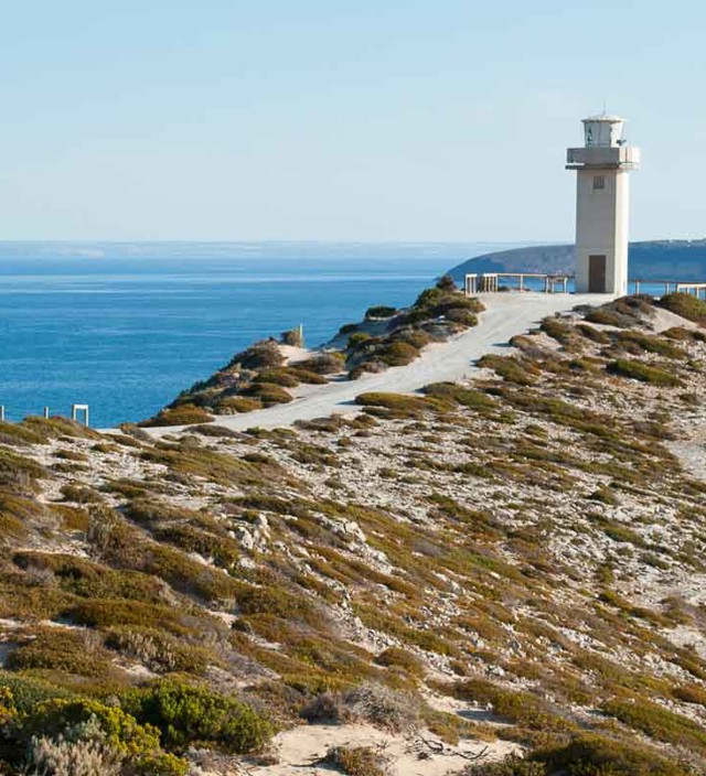 A perfect day itinerary for exploring Dhilba Guuranda-Innes National Park