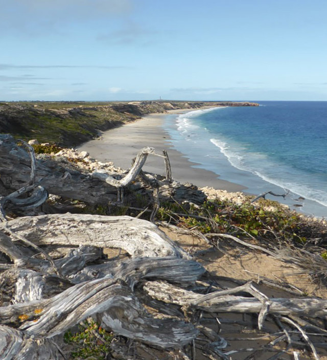 Edithburgh to Port Moorowie