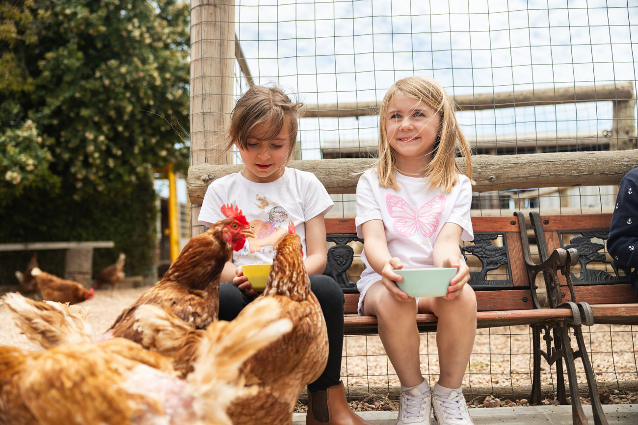 Little Farmers Tour, Tarnasey Farm