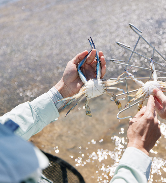 What to do in Ardrossan - with Adelady and HelloSA