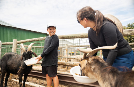 Winter Wanders with the Family