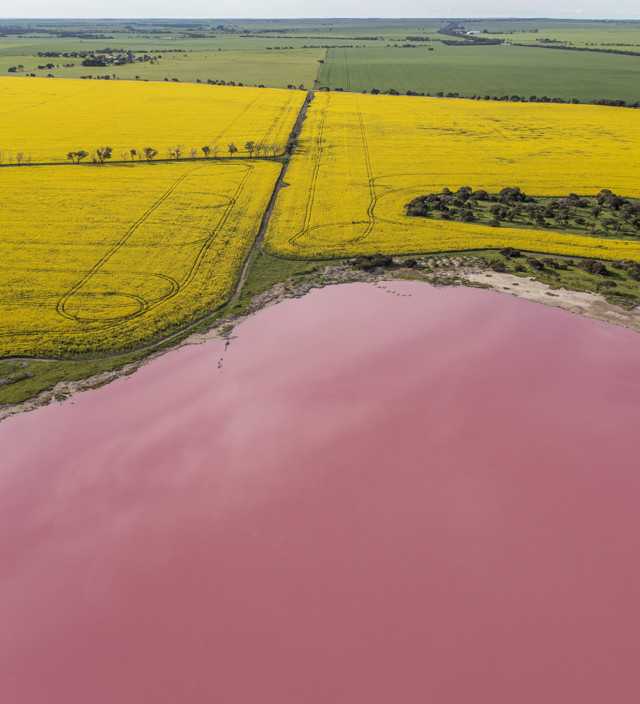 A photographer’s guide to capturing spring on Yorke Peninsula