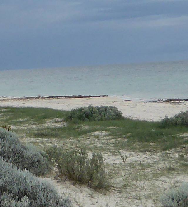 Point Turton to Port Rickaby