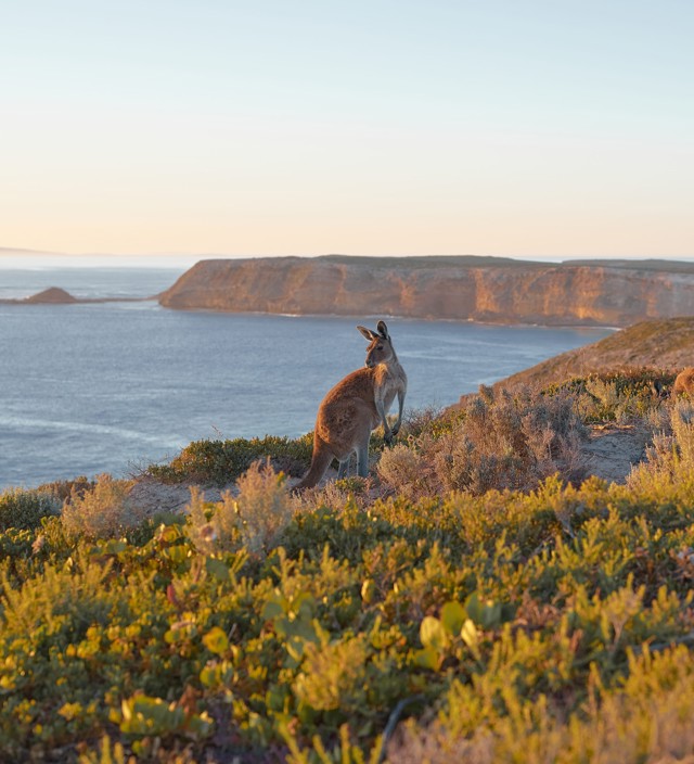 Spring into adventure on Yorke Peninsula