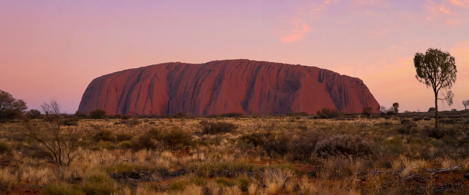 Uluru 1920 X 800